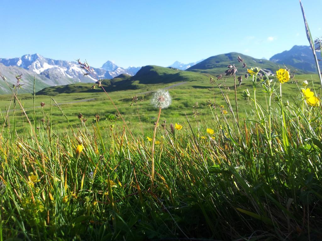 Hotel Berggasthaus Tannalp Frutt Exterior foto